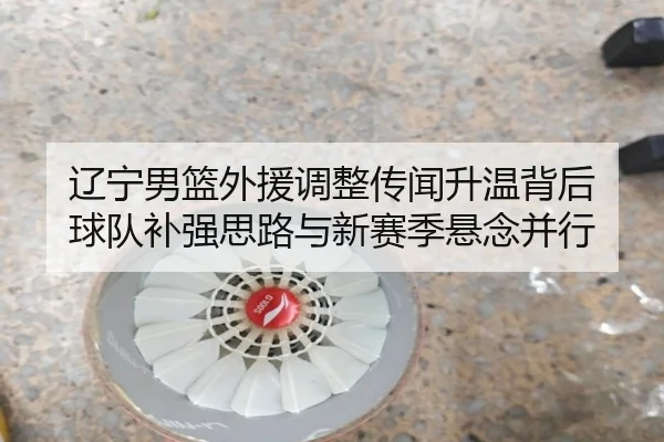 辽宁男篮外援调整传闻升温背后 球队补强思路与新赛季悬念并行